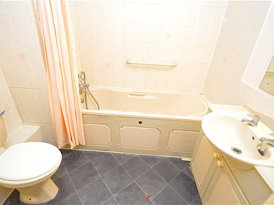 Picture 7